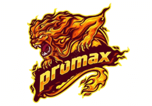 promax logo
